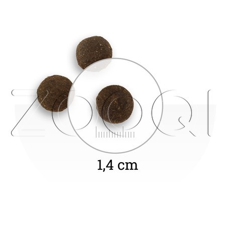 Корм Natura Wild Dog Ontario Wildland Adult для собак (ягненок, французская свинина)