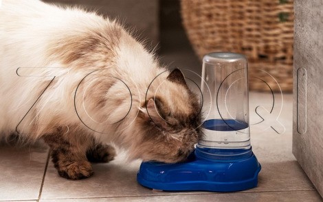 Ferplast Механическая пластиковая кормушка AZIMUT